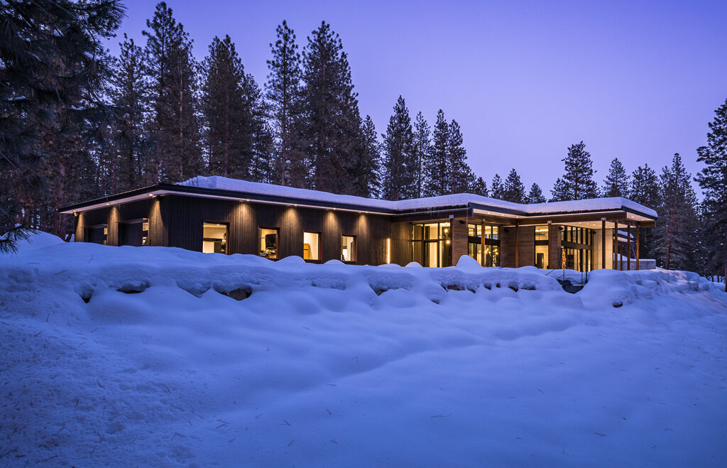 The Tree Line — The Tree Line